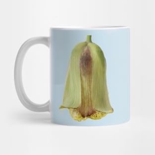 Fritillaria acmopetala AGM Pointed-petal fritillary Mug